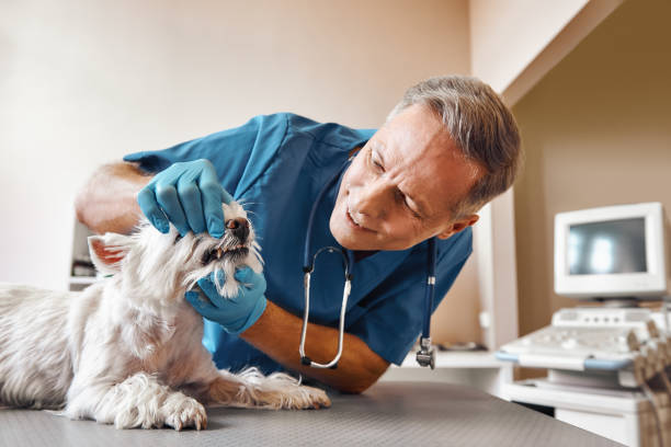 Best Same-Day Emergency Dentist in Doraville, GA